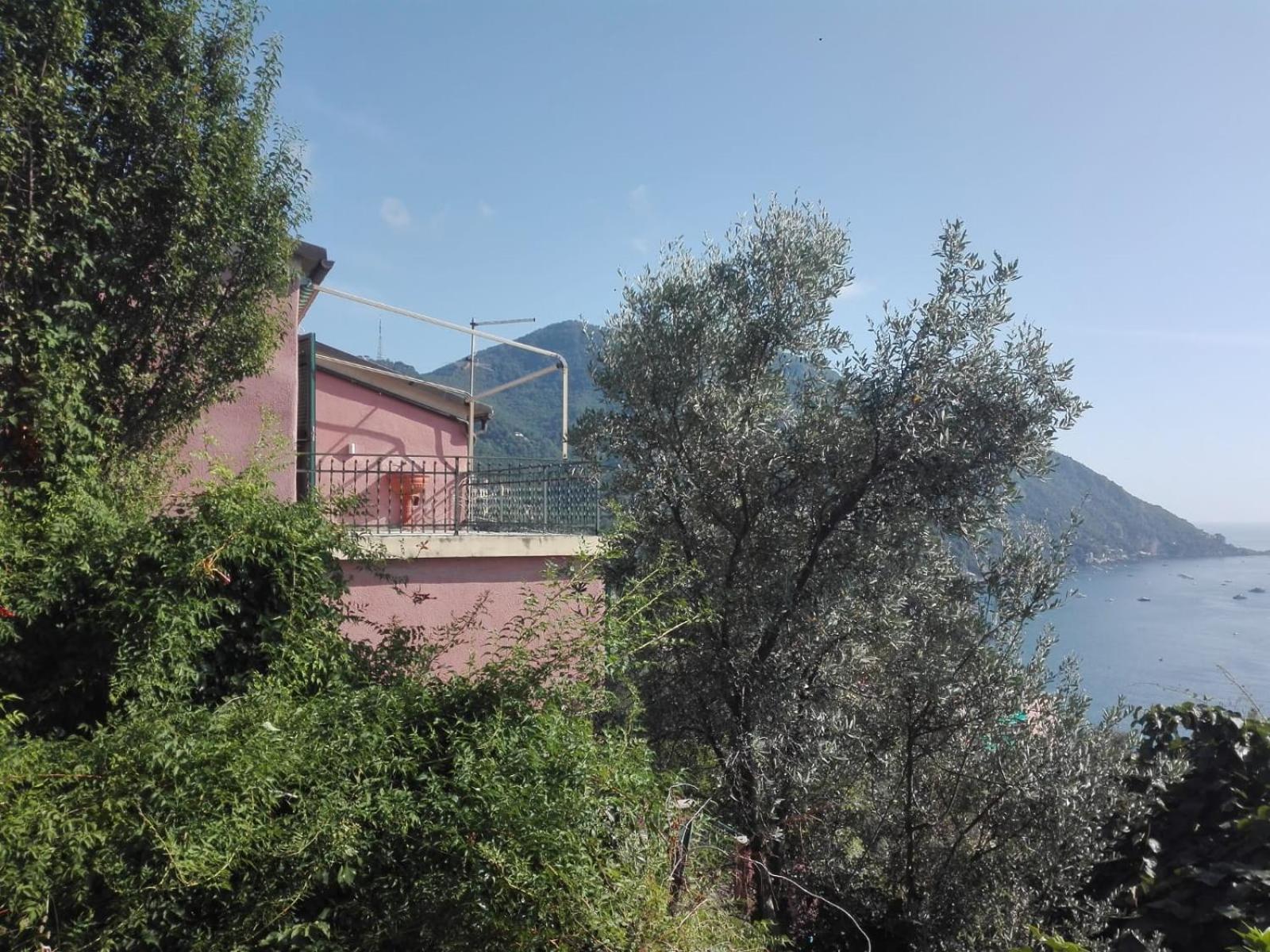 Terrazzo Sul Mare Apartment Camogli Exterior photo